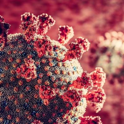 Lattoferrina e COVID-19 Lattoferrina e COVID-19