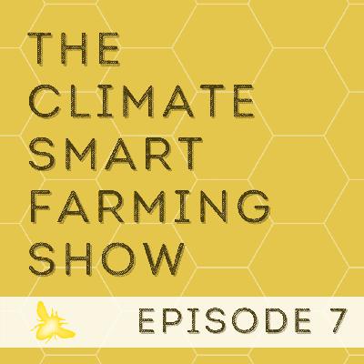 EP7 Soil Solutions-Cover Crops