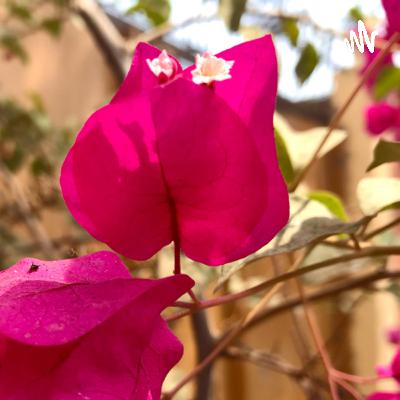 Lost in your eyes (cover)