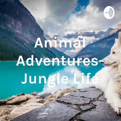 Animal Adventures - Jungle Life