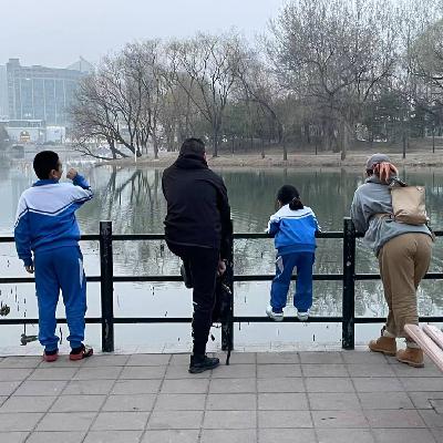我发现逛公园这事儿，不用等我老了