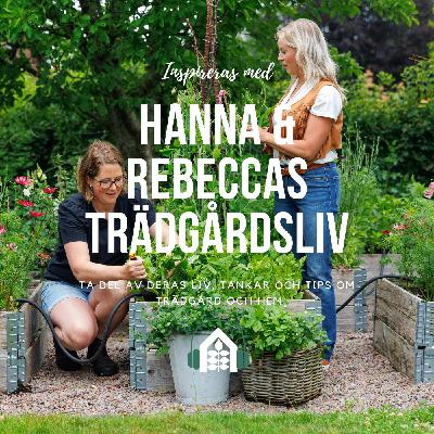 Avsnitt 152 – Så bygger du upp en köksträdgård