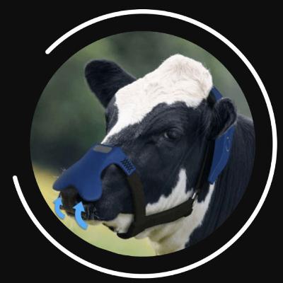 Mask for Cows. Mask for Cows.