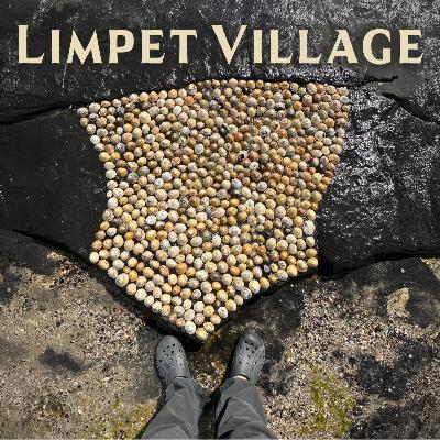 Limpet Village