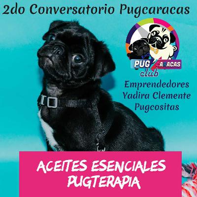 🐶 Terapia para mascotas - PugTerapia ❤️🐾