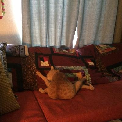 S1E32 - The Rat Race: Is Self-Doubt the Way to Win?