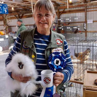 Kate Morreale 25 Years Breeding & Showing Silkies Kate Morreale 25 Years Breeding & Showing Silkies