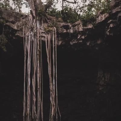 Episode 153: The Roots of our Ancestors Episode 153: The Roots of our Ancestors