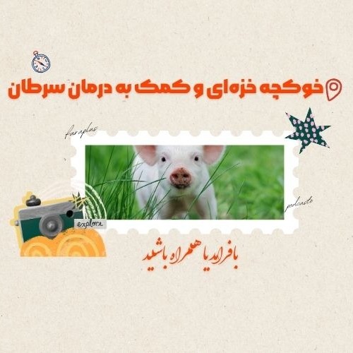 خوکچه خزه‌ای و کمک به درمان سرطان