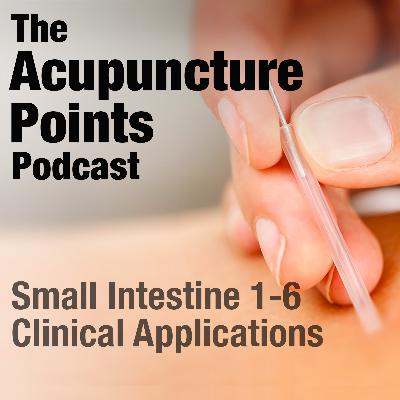 Small Intestine Meridian 1 - 6, Acupuncture Points and Clinical Applications