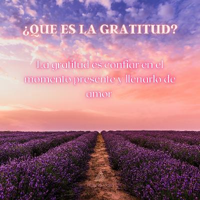El poder de la gratitud