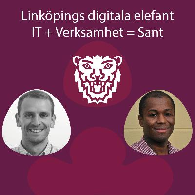 Verksamhet + IT = Sant. Hur styr, organiserar och arbetar vi kring digitalisering i Linköpings kommun?