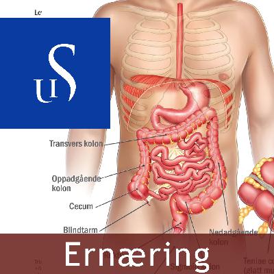 Ernæring
