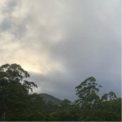 First light under heavy dew and clouds
