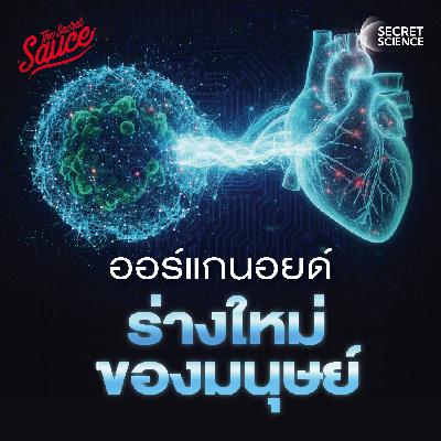 SS23 Organoid อวัยวะจิ๋ว กำเนิดร่างที่สองของมนุษย์