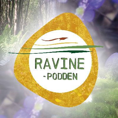 Hvordan har mennesker brukt ravine-og elvelandskapet gjennom tidene?