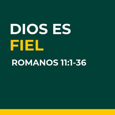 En las Manos De Dios | Dios es Fiel | Romanos 11:1-36
