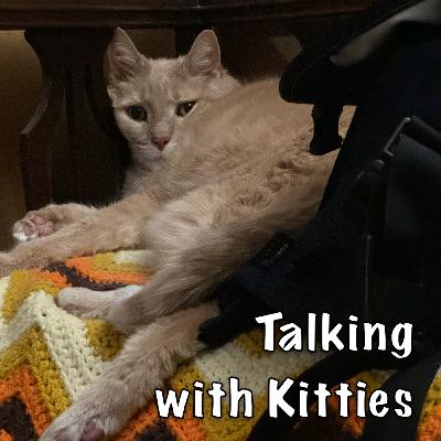 I Should Have Known That I Should Have Known That