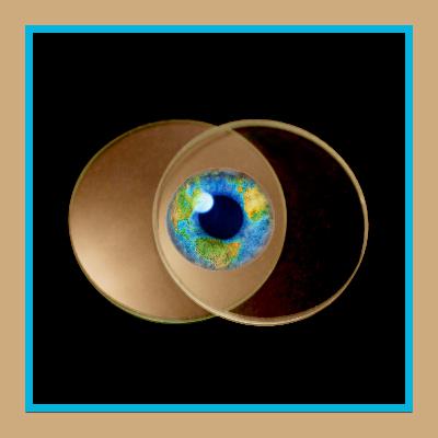 DEI and Dominator Culture DEI and Dominator Culture