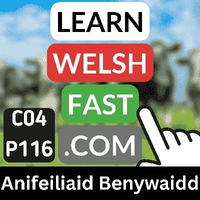 c04p116 (s04e116) - Anifeiliaid Benywaidd (Feminine Animals) c04p116 (s04e116) - Anifeiliaid Benywaidd (Feminine Animals)