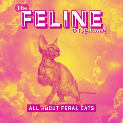 The Feline Dilemma: All About Feral Cats
