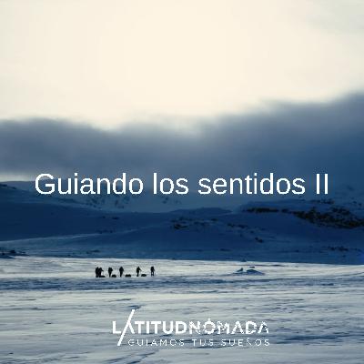 Guiando los sentidos (Segunda parte)