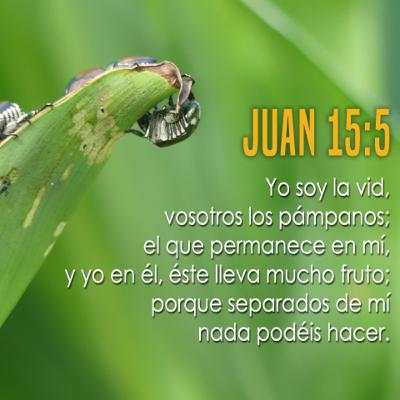 Seamos sinceros, ¿por qué no te gusta la religión? Seamos sinceros, ¿por qué no te gusta la religión?