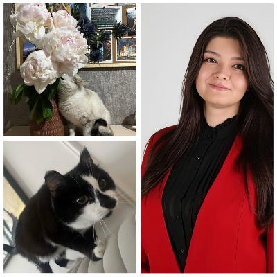 Приключение виноградной лозы, или Карьерные путешествия Молдаванки Приключение виноградной лозы, или Карьерные путешествия Молдаванки