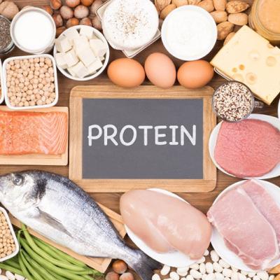 Intro to Proteins