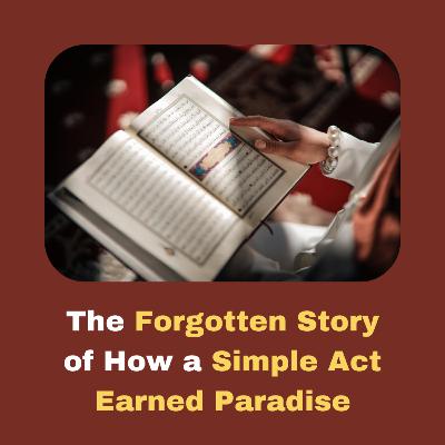 What is the Price of Paradise? - Light Upon Light by IslamiCity