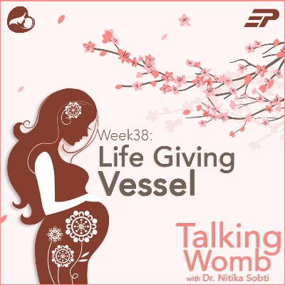 Week 38: Life Giving Vessel