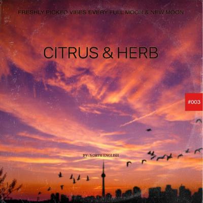 Citrus & Herb 003 F- DJ Lewy V Citrus & Herb 003 F- DJ Lewy V