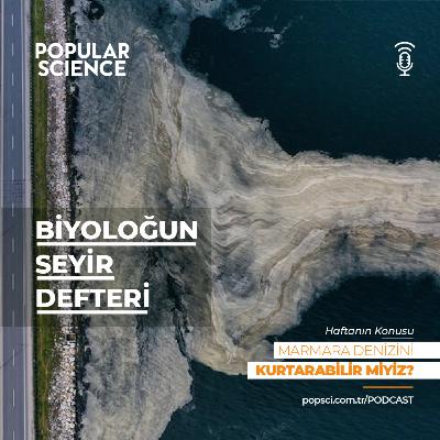 #12- Marmara Denizi'ni Kurtarabilir Miyiz? - Biyoloğun Seyir Defteri #12- Marmara Denizi'ni Kurtarabilir Miyiz? - Biyoloğun Seyir Defteri