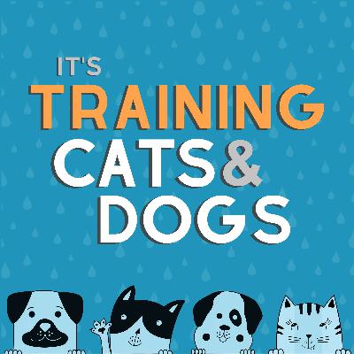 Finding Balance in Our Lives with Pets - with Marissa Martino
