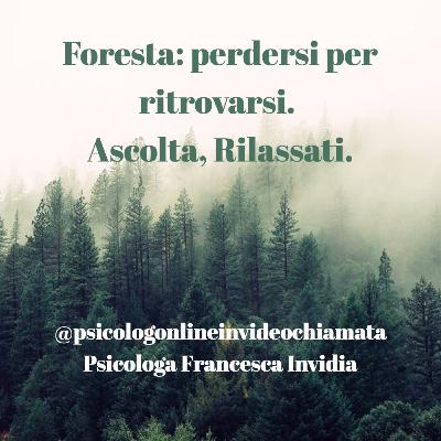 Foresta: perdersi per poi ritrovarsi. Ascolta, Rilassati.