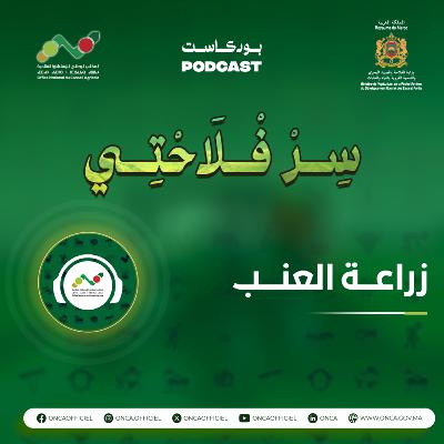 بودكاست سِرْ فْلاَحْتِي : الحلقة 6 حول موضوع زراعة العنب