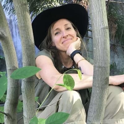 How to Invite More Life and Wildness into the Garden How to Invite More Life and Wildness into the Garden