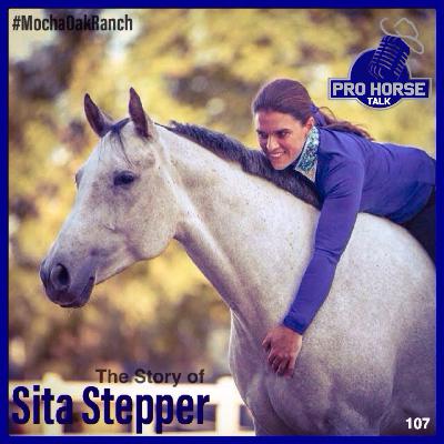 The Story of Sita Stepper The Story of Sita Stepper