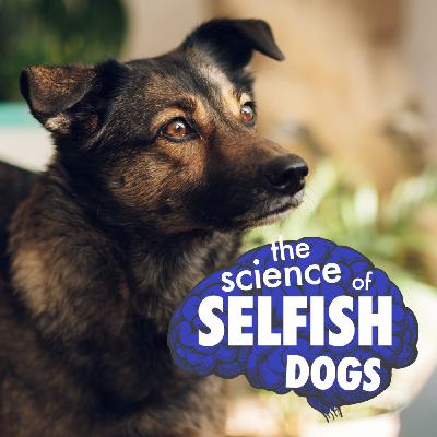 Are all dogs secretly selfish?