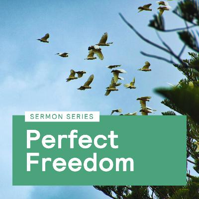 Freedom to Love in Community - Romans 14-15 and 1 Corinthians 8, 10 Freedom to Love in Community - Romans 14-15 and 1 Corinthians 8, 10