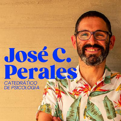 #15 La cercanía de un local de apuestas parece afectar en el rendimiento escolar