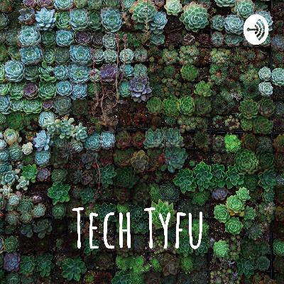 Vertical farming in North Wales: Episode 1