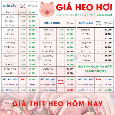 GIÁ LỢN HƠI 22/12/2025 ✅ GIÁ THỊT HEO HÔM NAY & TIN TỨC CHĂN NUÔI #GIAHEOHOI #GIATHITHEO #TET2026