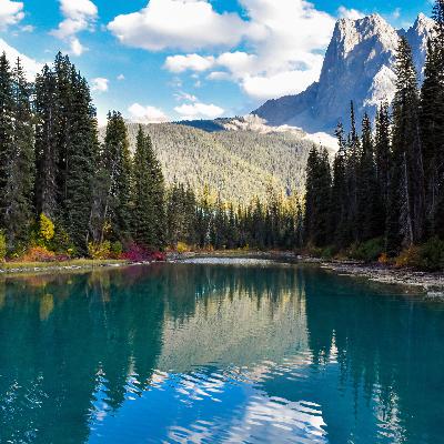 Ep. 170 Vertical Living with Ronnie Stevens Ep. 170 Vertical Living with Ronnie Stevens