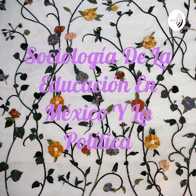 Hablo sobre el tema de la sociología de la ecuación en México y en la policía