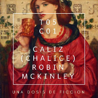 Caliz (Chalice) de Robin Mckinley