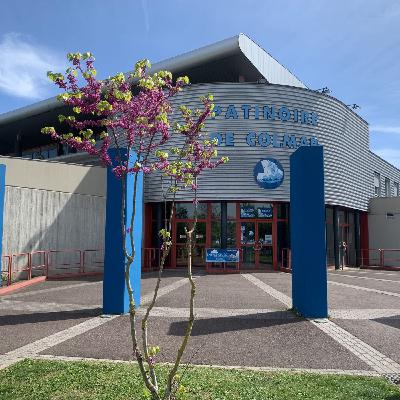 Colmar : La programmation du mois de février à la patinoire
