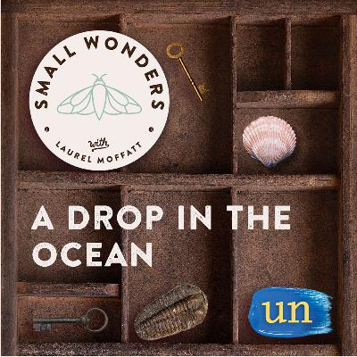 A Drop in the Ocean