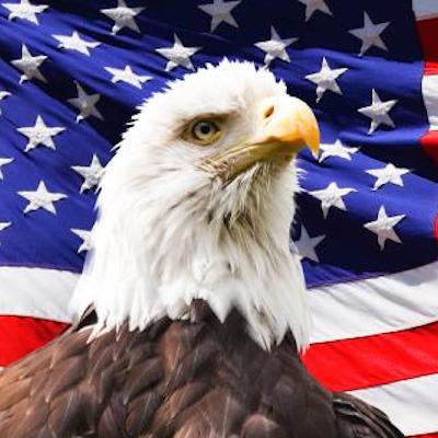 The Freedom Episode The Freedom Episode