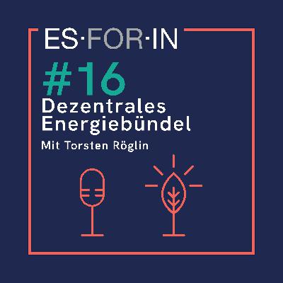 #16 | Dezentrales Energiebündel
